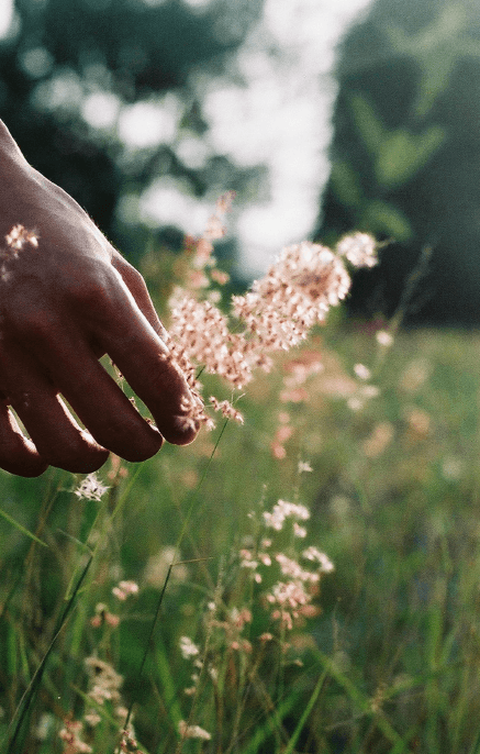 Touch Grass