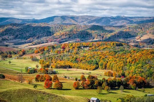 Autumn Color Trees Landscape in the mountains