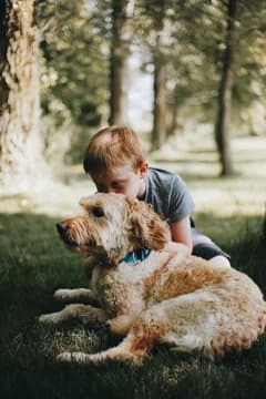 Boy kissing dog laying on grass