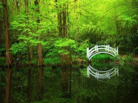 Berkeley County SC Sub Model 3