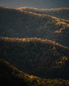 Rolling Mountains and Trees with Fall Colors