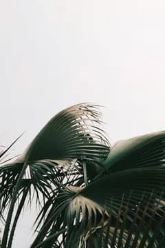 California Landscape