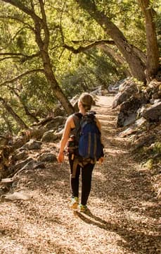 11264 Caucasian Woman Walking in Forest USP Crop