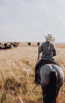 USP 0013 Cowgirl Texas