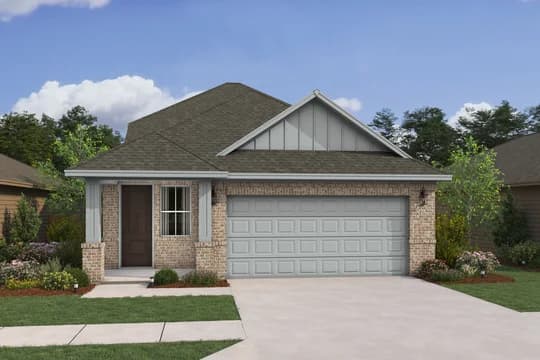 Scotch Pine Scotch Pine PN Level 1