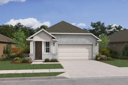 Blueberry Ash Blueberry Ash QN Level 1