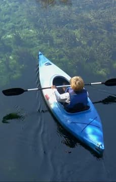 149741 Kayaking on Springs in Florida USP Crop