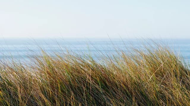 68677_Natural Textures_BannerCrop