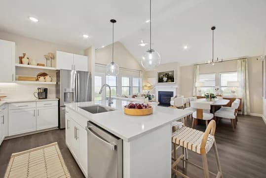 Aspire at Reunion Passionflower II Kitchen Loft Palette 6 AspireAscend Loft Universal