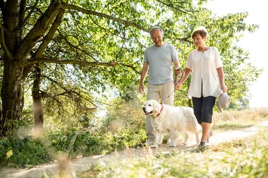 Walking Dog on Trail