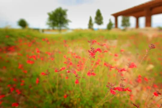 South Pointe South Pointe Mansfield TX